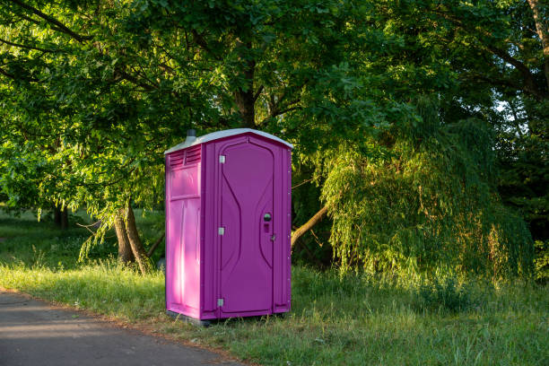 Portable Toilet Options We Offer in Wernersville, PA
